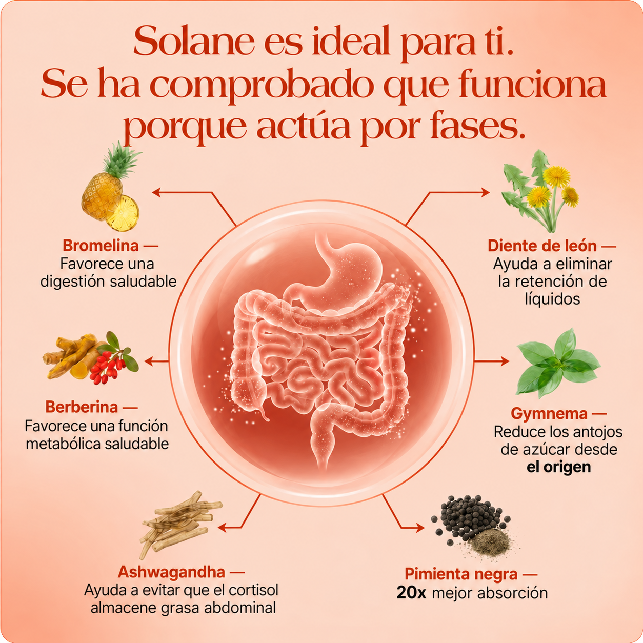 Solane Balance y equilibrio femenino